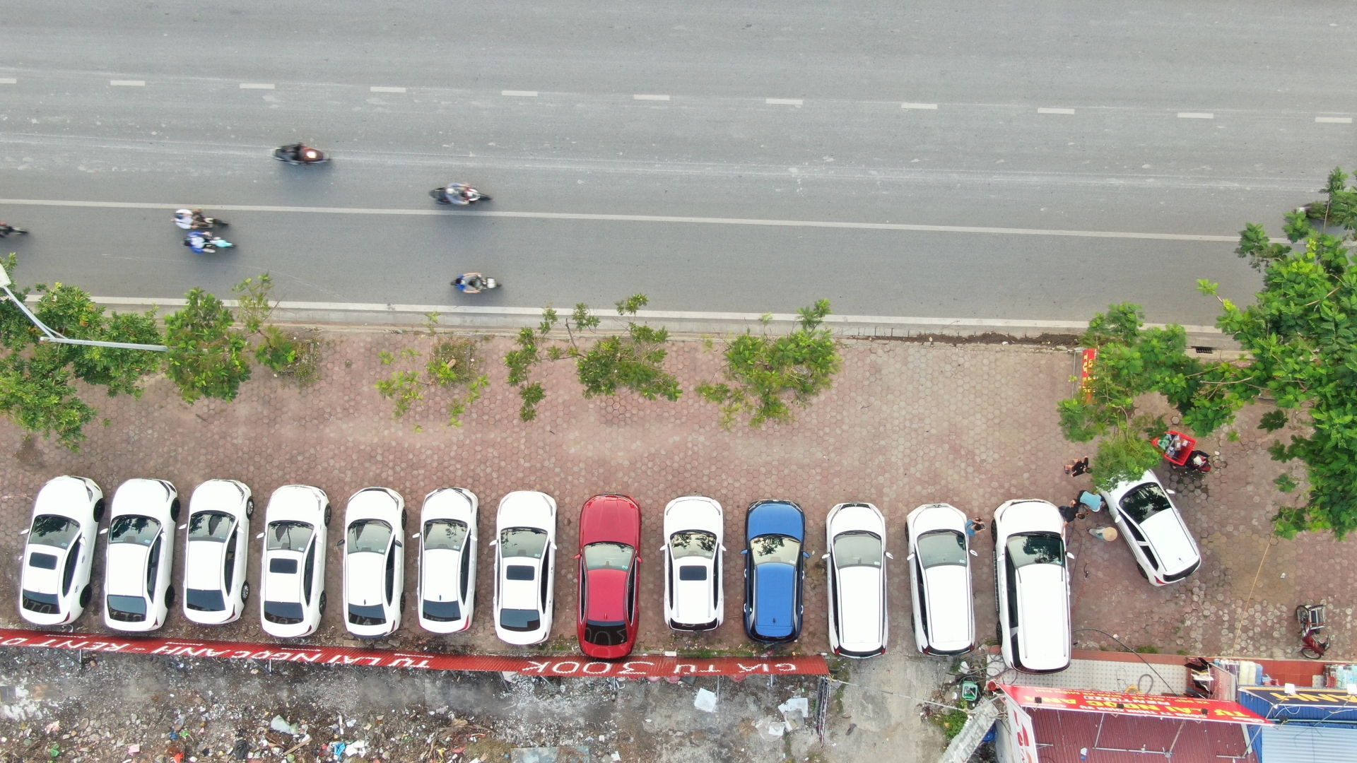 Thuê xe tự lái - Giải pháp tiện lợi cho cuộc sống linh hoạt tại Hải Phòng