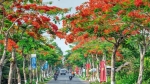 Bảng giá thuê xe tự lái Hải Phòng 2025  Đừng bị “hớ” khi chưa đọc bài này!