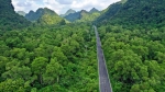 Du Lịch Hải Phòng: Lịch Trình Chuẩn Bài Cho Người Mới