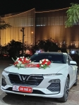 LÒNG XE ĐIẾU 40M LIỆU THẬT SỰ CÓ