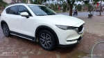LÒNG XE ĐIẾU 40M LIỆU THẬT SỰ CÓ