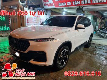 cho thuê ViNFAS LUX SA tự lái