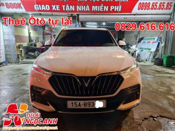 cho thuê ViNFAS LUX SA tự lái