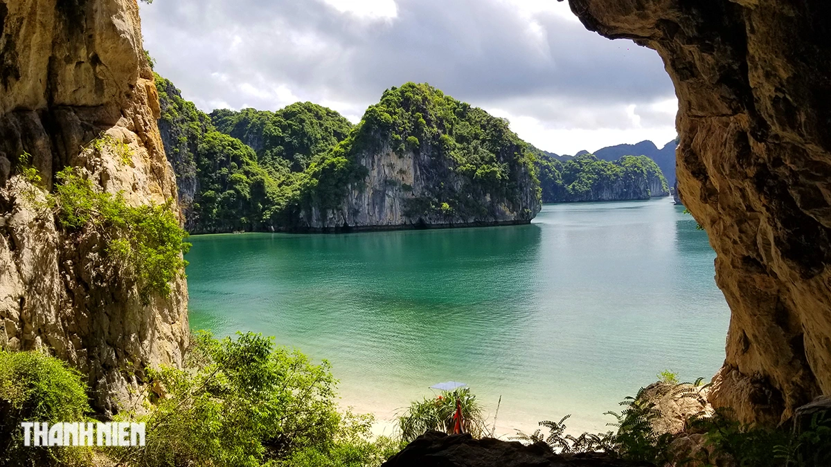 Thuê xe tự lái tại Cát Bà - Tiện lợi, riêng tư, chủ động lịch trình
